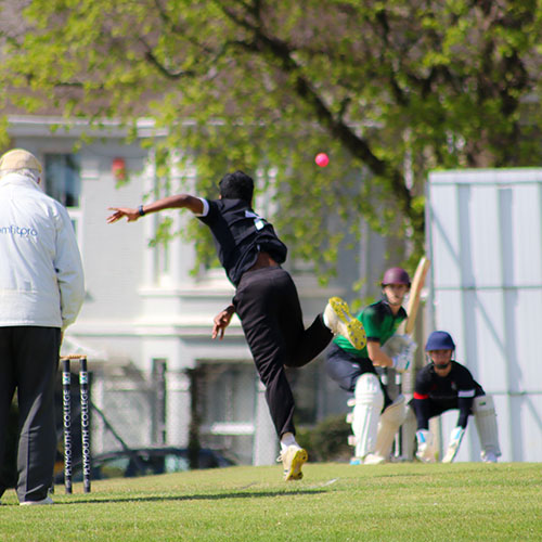 Cricket